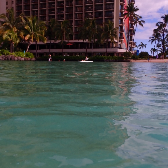 Meet your Posher, Tilly - Picture 1 of 1